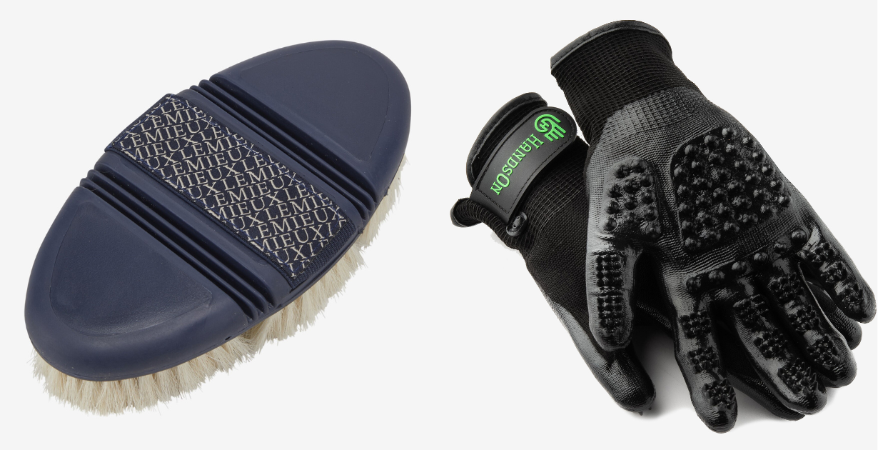 Brush and gloves