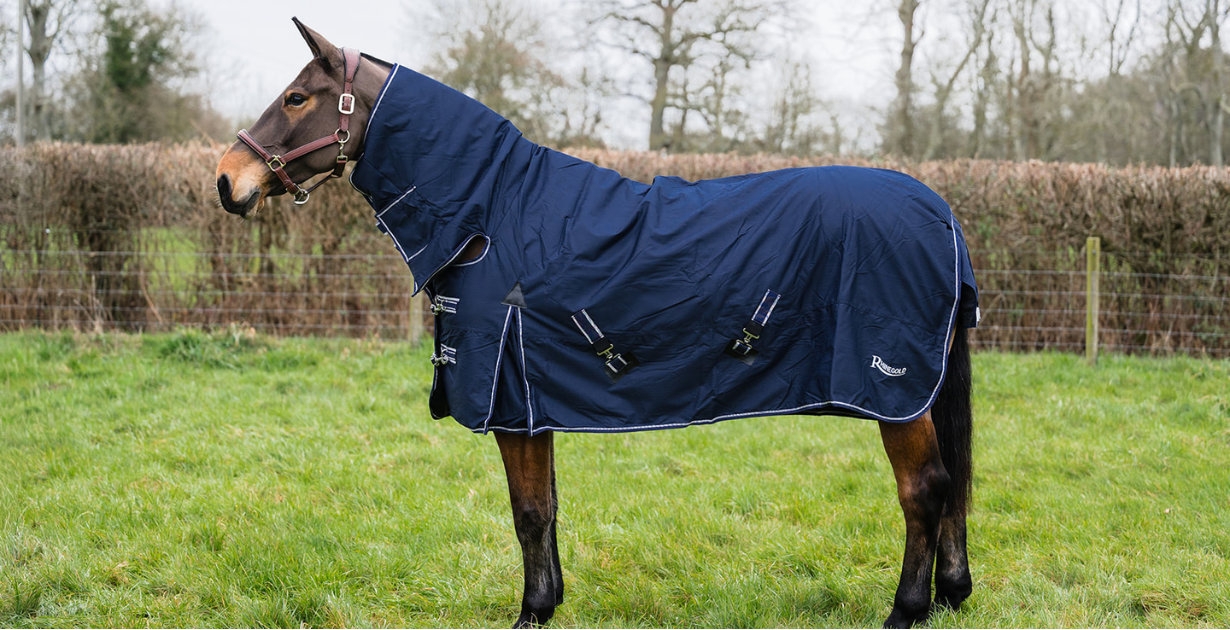 horserug-resized-24.png